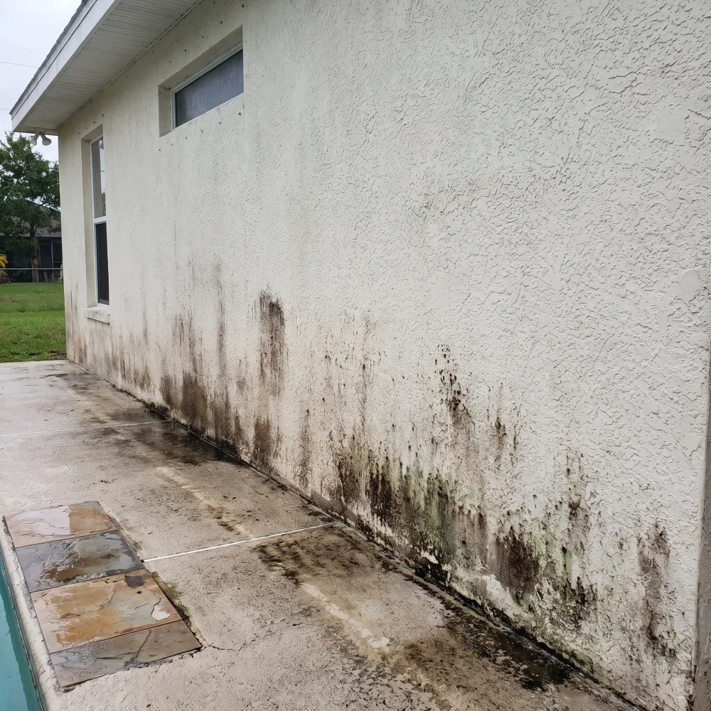 Illustrative image: Low-Pressure Siding Care before